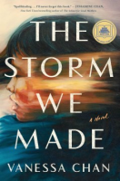 The_storm_we_made